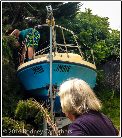 5th January 2016 - Photo a Day - Day 5 Tree from next door down on my boat - Should have wrecked it so I could claim on insurance.