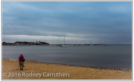 28th January 2016 - Photo a Day - Day 28 - Mothers Beach Mornington - End of the day brings out the metal-detectors