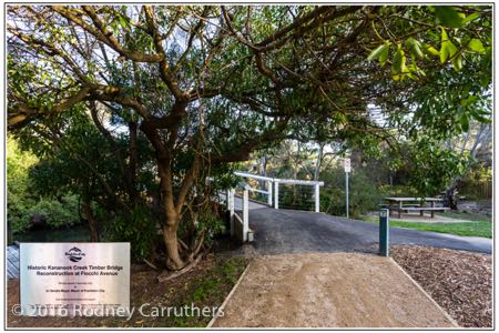 4th February 2016 - Photo a Day - Day 35 - kananook Creek - 