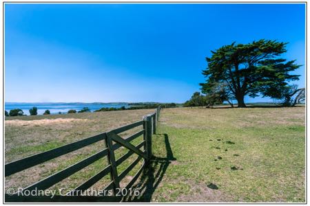 12th February 2016 - Photo a Day - Day 43- My diary for 2016 - Churchill Island