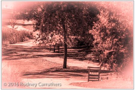 15th February 2016 - Photo a Day - Day 46 - Frankston Botanic Gardens - This was the fairway of the 2nd hole until 1973. memories, memories