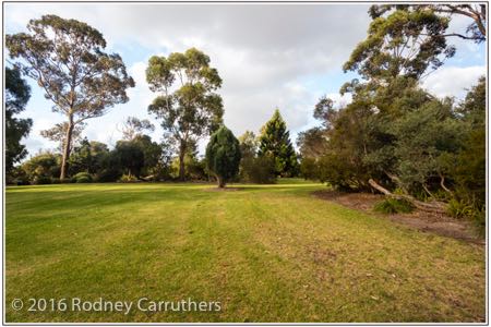 16th February 2016 - Photo a Day - Day 47 - Frankston Botanic Gardens