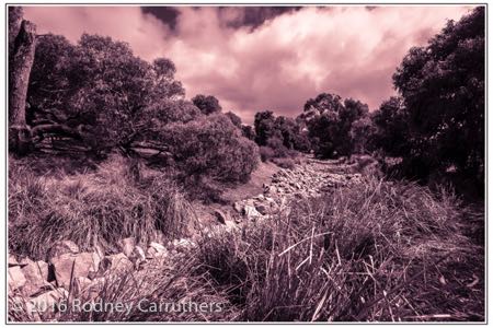 17th February 2016 - Photo a Day - Day 48 - Frankston Beauty Park