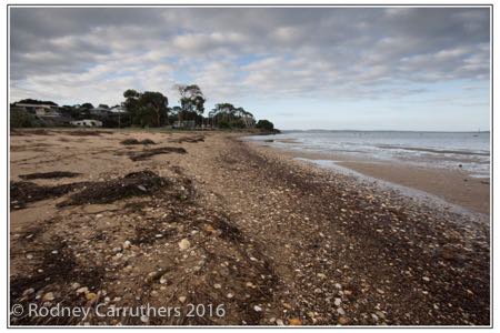 26th February 2016 - Photo a Day - Day 56- My diary for 2016