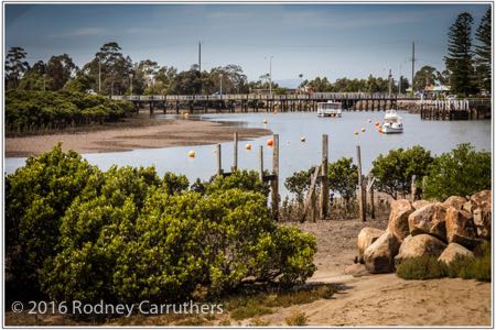 1st March 2016 - Photo a Day - Day 61 - My 2016 Diary - Tooradin Wetlands