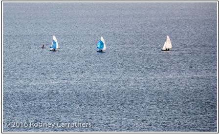 17th April 2016 - Photo a Day - Day 105 - My 2016 Diary - Sailing as viewed from Olivers Hill