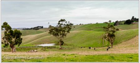 16th April 2016 - Photo a Day - Day 105 - My 2016 Diary - Jeetho - South Gippsland Highway