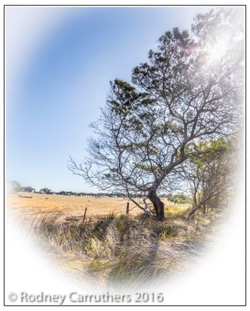 11th February 2016 - Photo a Day - Day 42 - My diary for 2016 - End of McIlwraith Road Rhyll