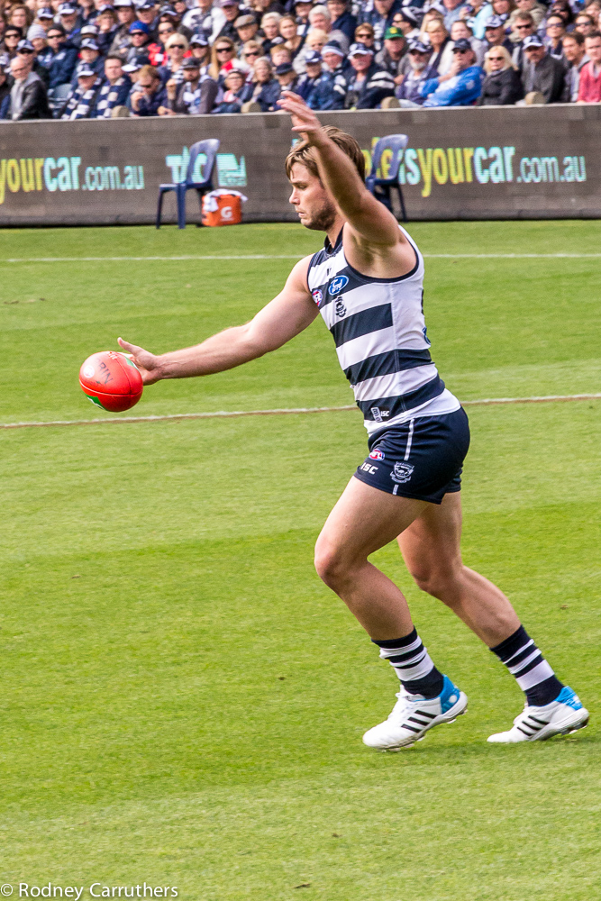 15th June 2014 - Geelong v St Kilda - Tom Hawkins trying to line up from the boundary.