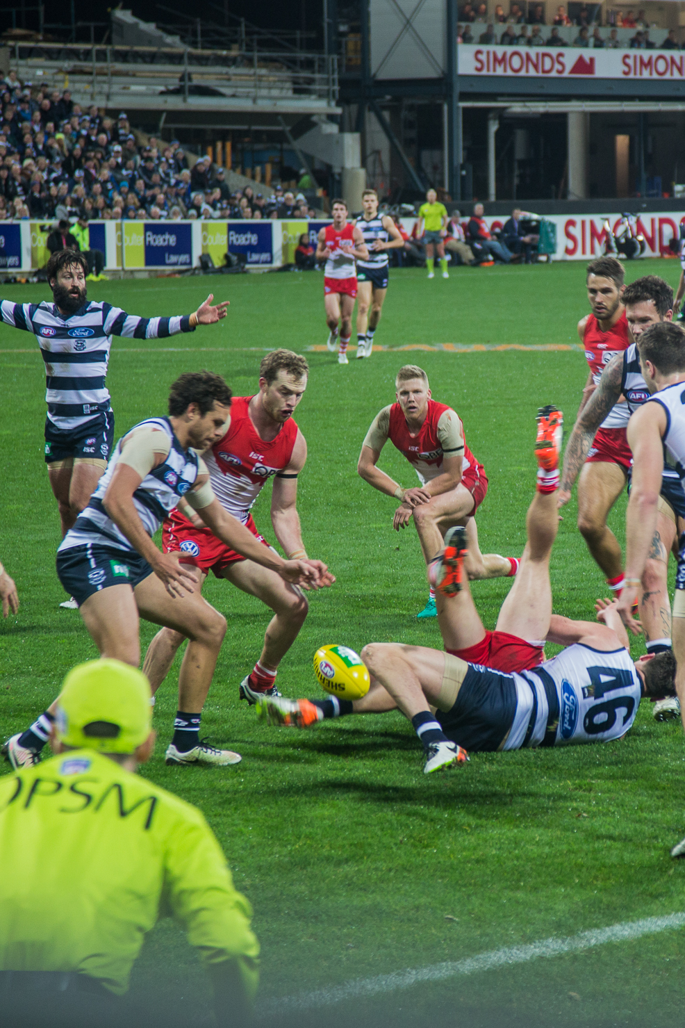 8th July 2016 - Photo a Day - Day 188 - My 2016 Diary - Geelong v Sydney