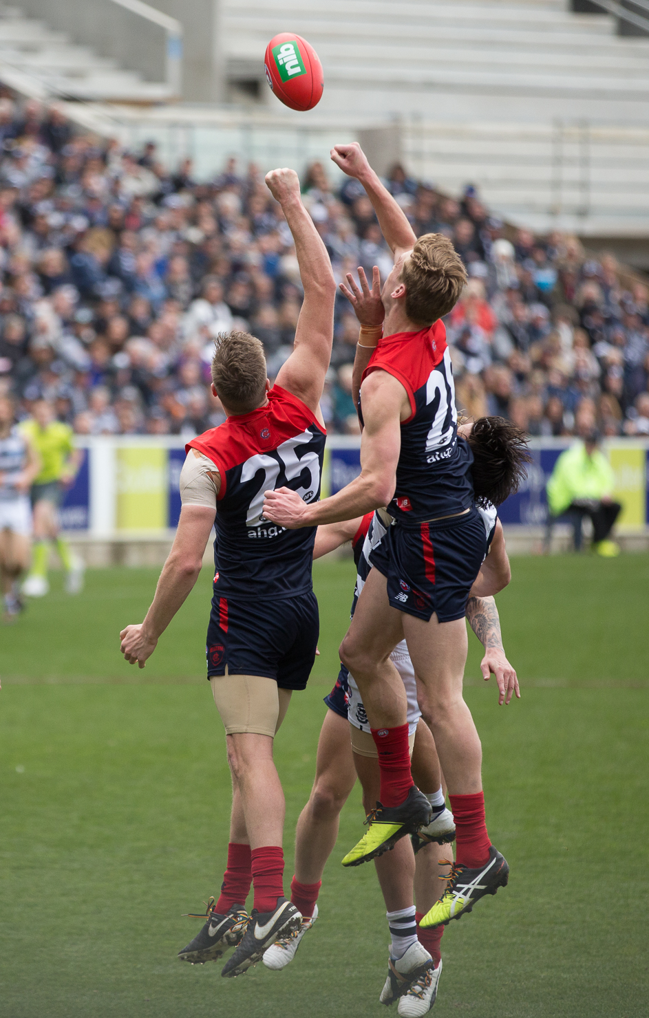 27th August 2016 - Photo a Day - Day 236 - My 2016 Diary - Geelong v Melbourne