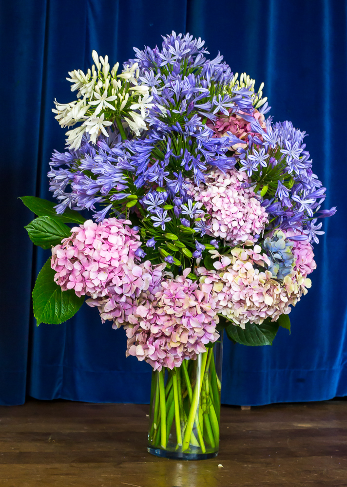 15th January 2015 - Flowers for Dulcie Richards