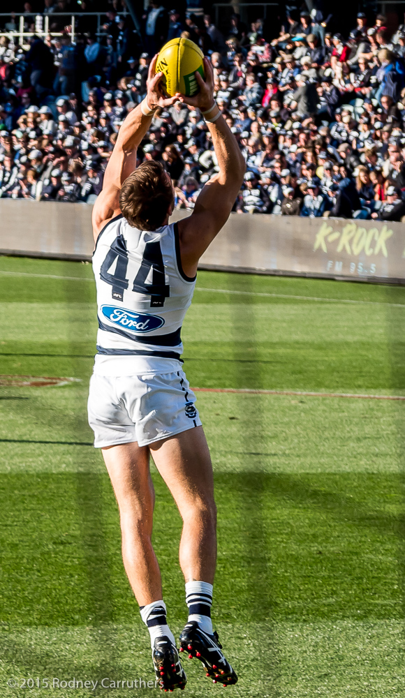 21st June 2015 - Corey Enright's 300th Game