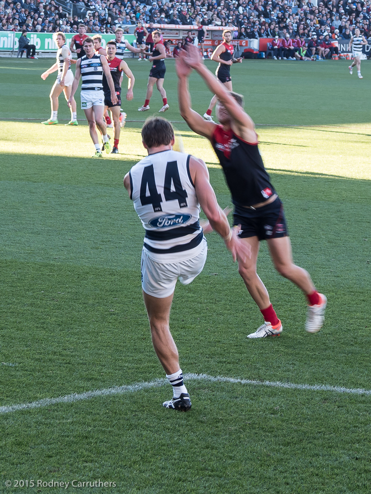 21st June 2015 - Corey Enright's 300th Game