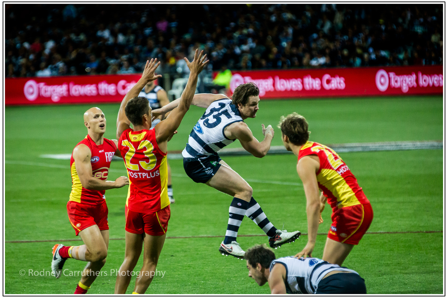 30th April 2016 - Geelongs favourite sons. Ablett and Dangerfield