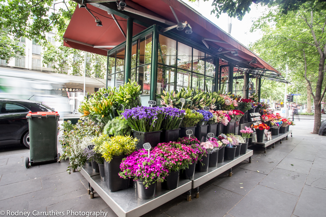 21st November 2014 - Florist by Melbourne Town Hall