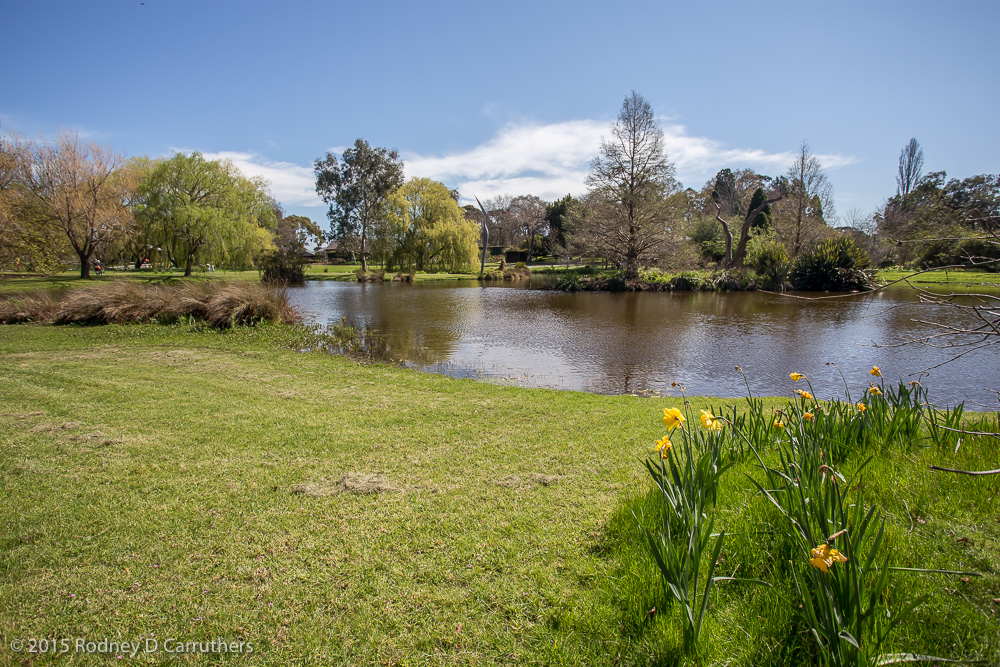 13th September 2015 - Cruden Farm - Mayor's Picnic Day