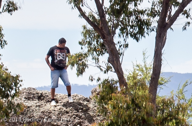 4th November, 2014 Wangaratta Jazz Festival - from Whitfield to Power's Lookout and onto King River