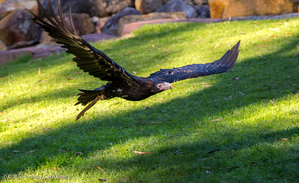 18th May, 2015 - Healesville Sanctuary Badger Creek Road, Healesville