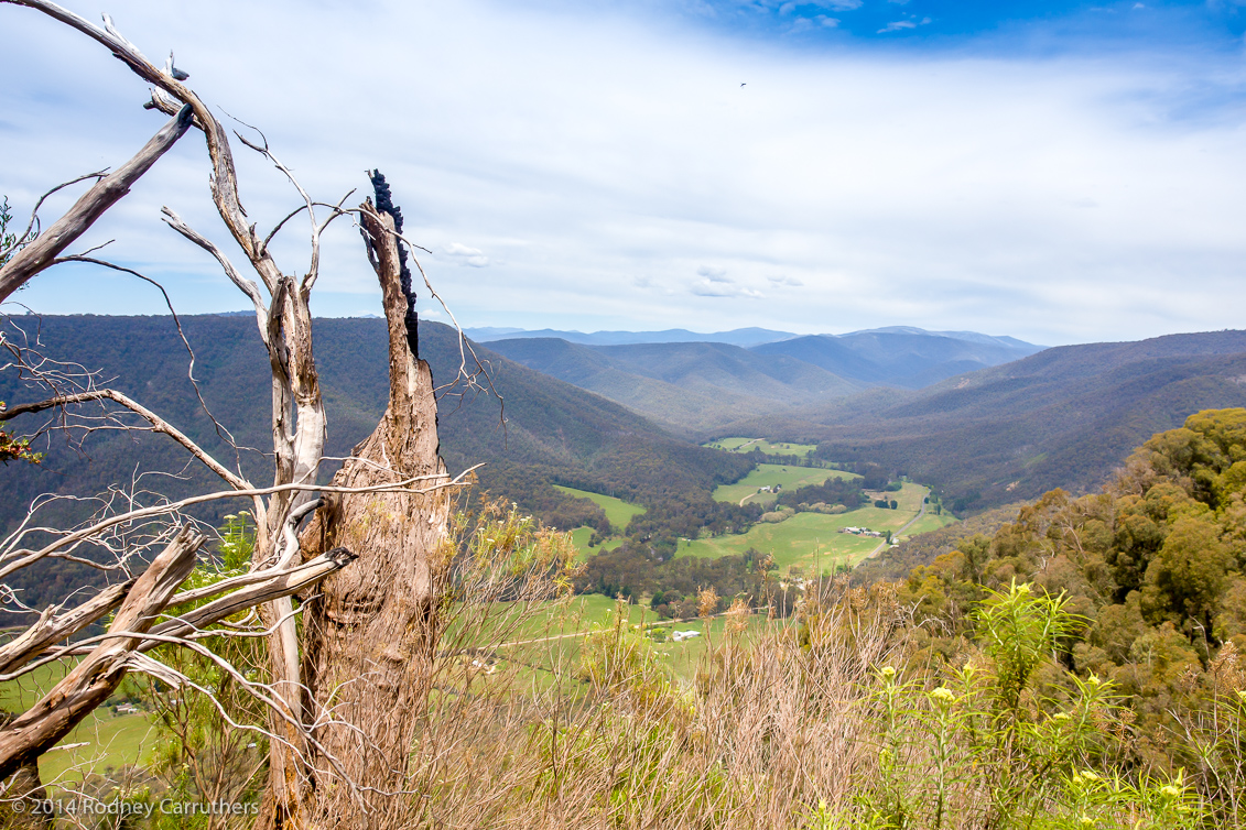 4th November, 2014 Wangaratta Jazz Festival - from Whitfield to Power's Lookout and onto King River