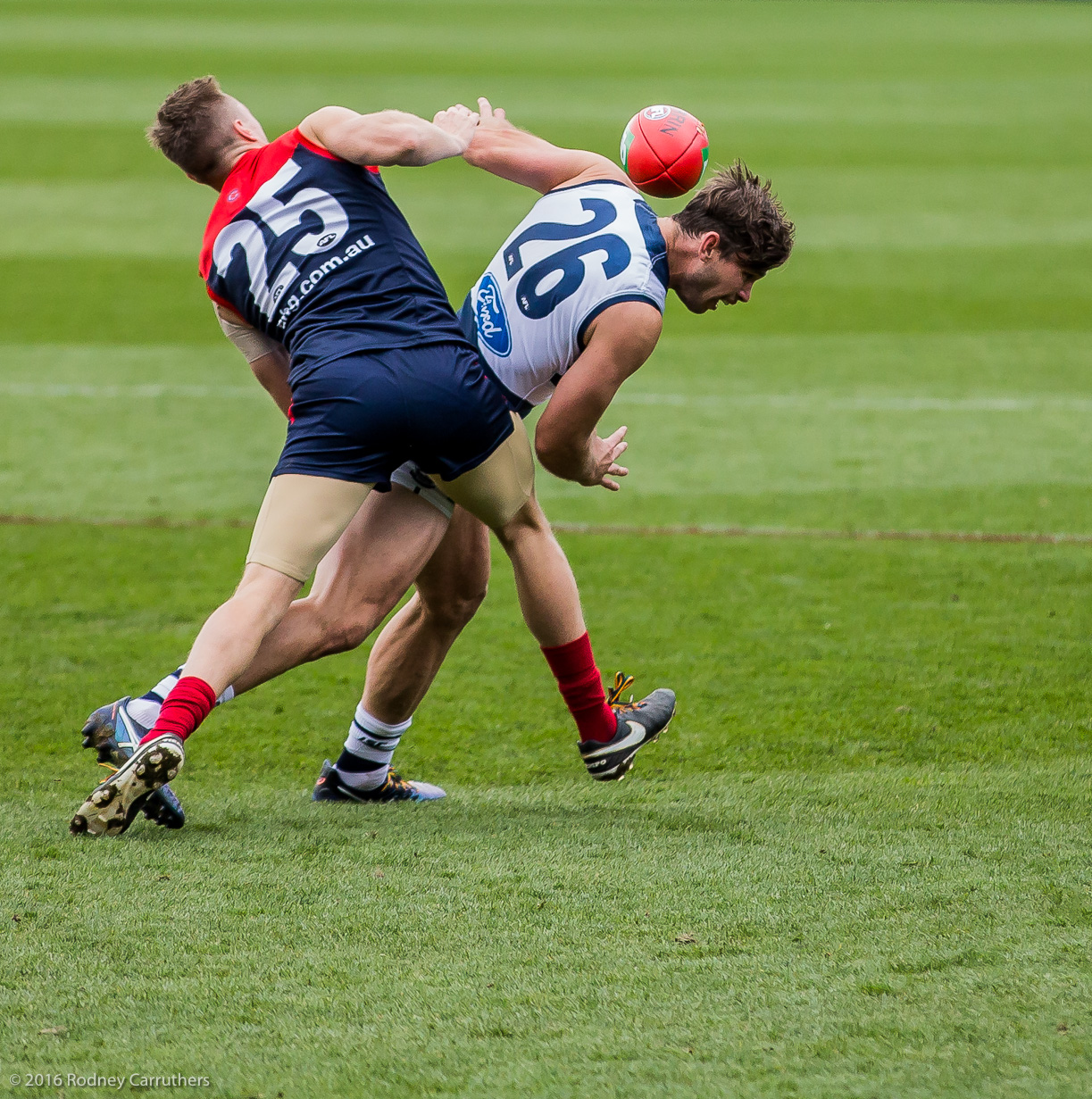 27th August 2016 - Photo a Day - Day 236 - My 2016 Diary - Geelong v Melbourne