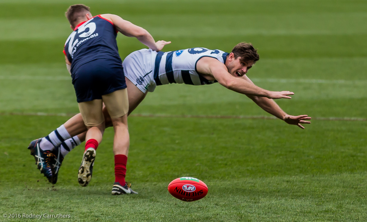 27th August 2016 - Photo a Day - Day 236 - My 2016 Diary - Geelong v Melbourne