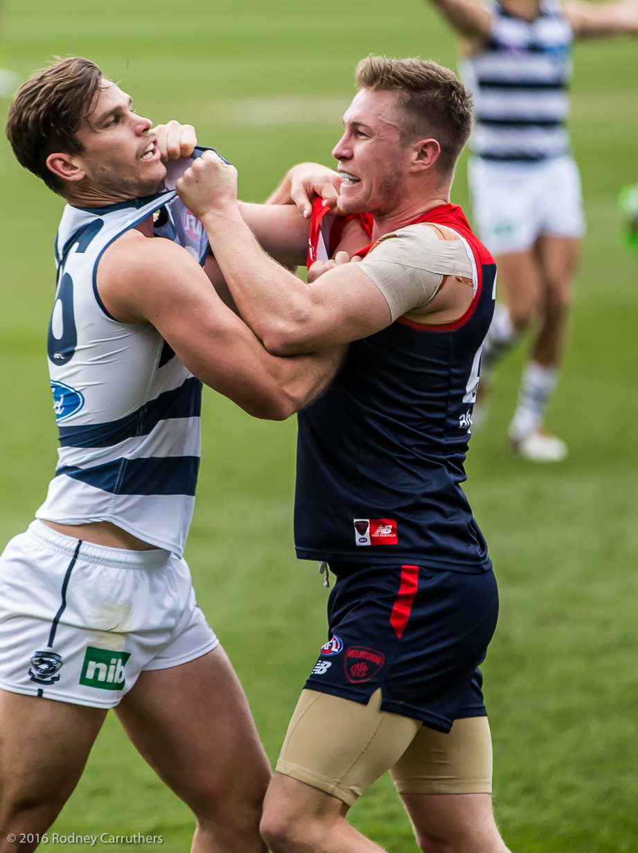 27th August 2016 - Photo a Day - Day 236 - My 2016 Diary - Geelong v Melbourne