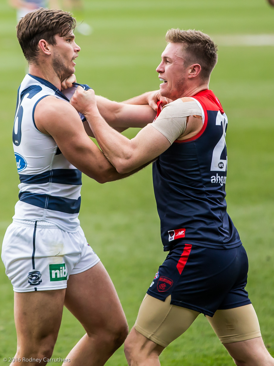 27th August 2016 - Photo a Day - Day 236 - My 2016 Diary - Geelong v Melbourne