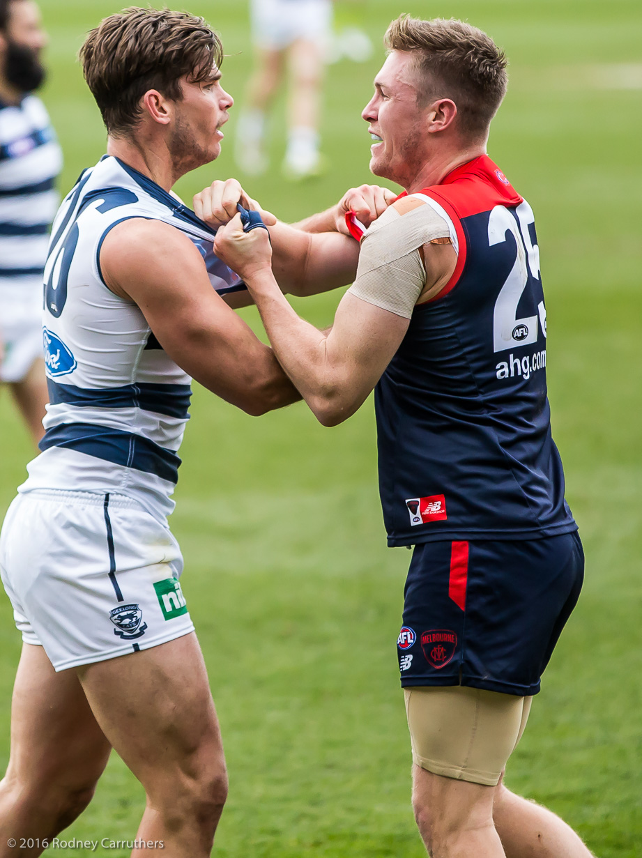 27th August 2016 - Photo a Day - Day 236 - My 2016 Diary - Geelong v Melbourne