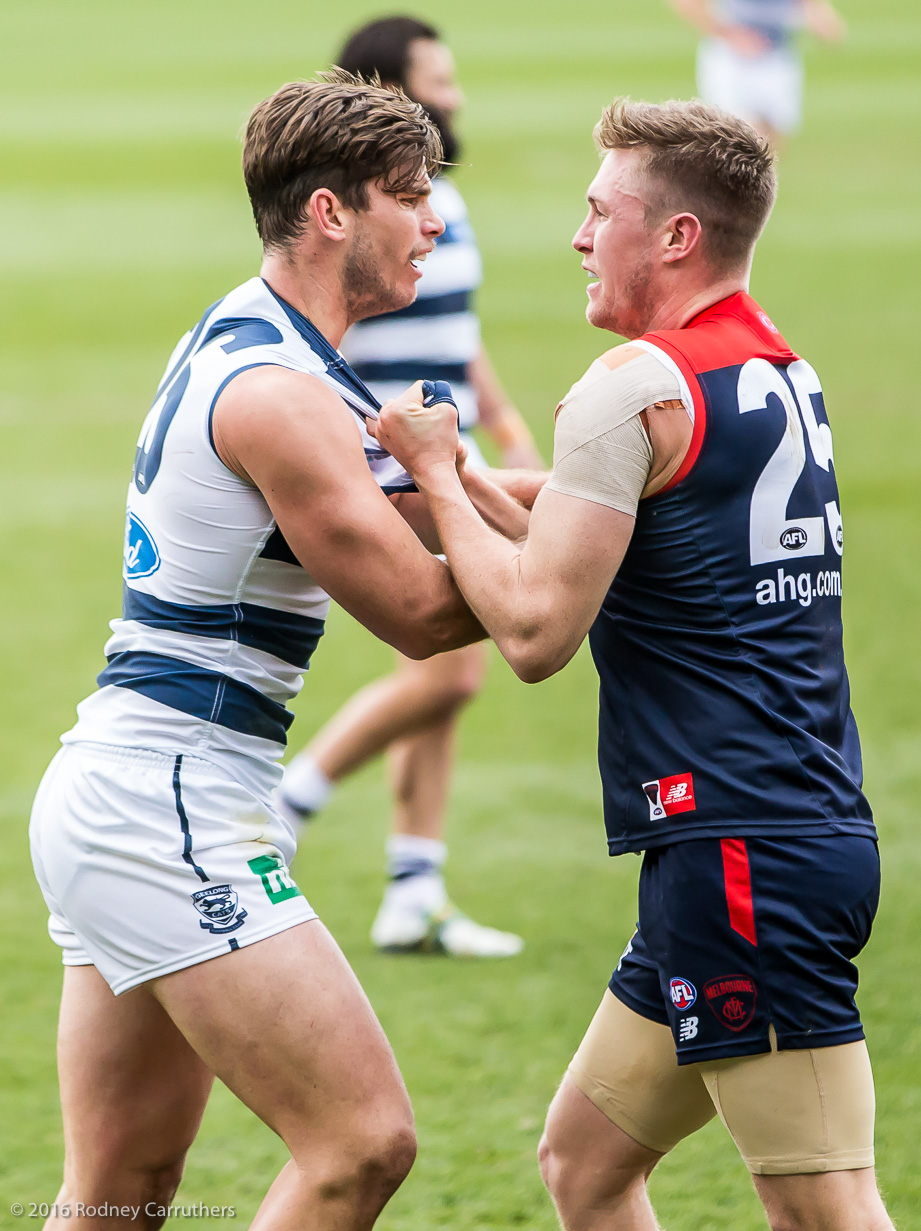 27th August 2016 - Photo a Day - Day 236 - My 2016 Diary - Geelong v Melbourne