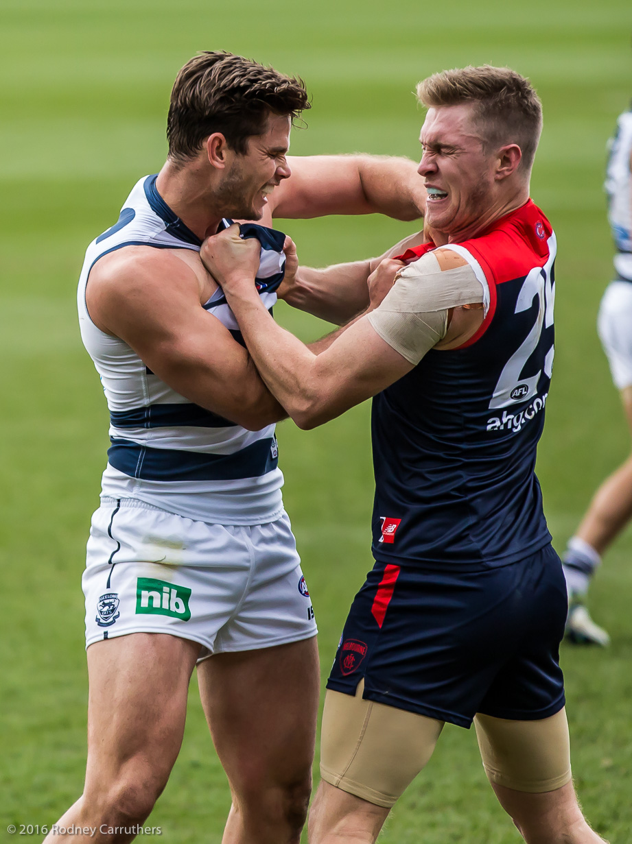 27th August 2016 - Photo a Day - Day 236 - My 2016 Diary - Geelong v Melbourne