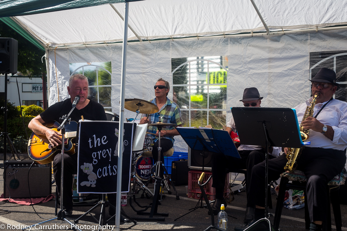 2nd November, Wangaratta Jazz Festival - The Grey Cats