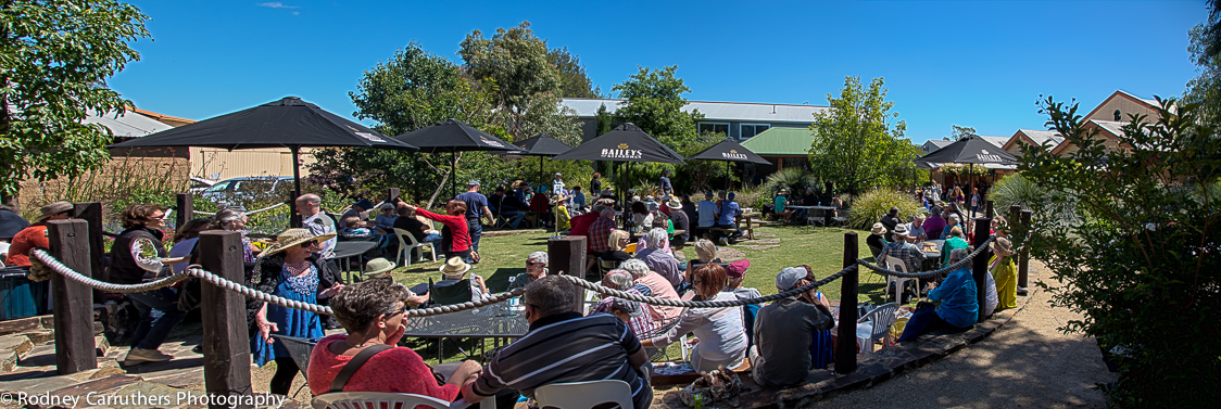 4th November, Wangaratta Jazz Festival - Baileys Winery - Glenrowan